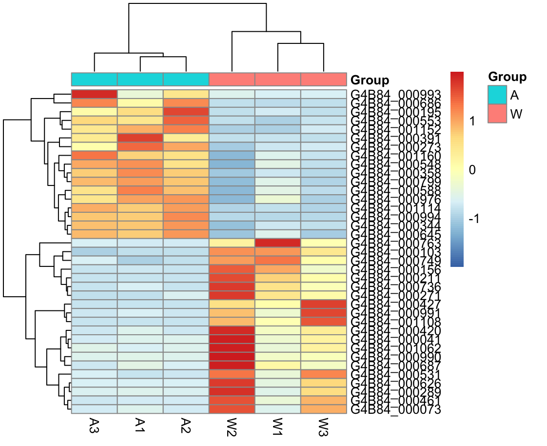 Top20Heatmap